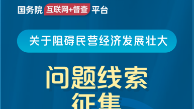 国产大鸡巴猛干女人骚逼免费视频国务院“互联网+督查”平台公开征集阻碍民营经济发展壮大问题线索